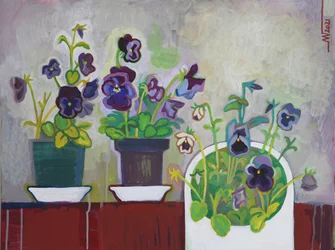 Pansies coloridas em vasos