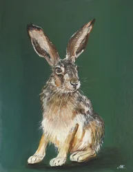 Retrato de uma lebre castanha