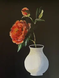 Flores de peónia vibrantes