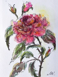 Rosa em aquarela