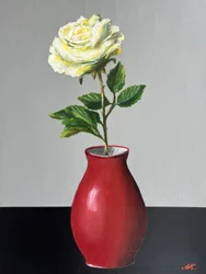 Rosa branca num vaso vermelho