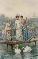 Mulheres jovens alimentando cisnes