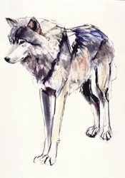 Alfa (mídia mista no papel)