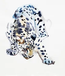 Leopardo Árabe, 2008