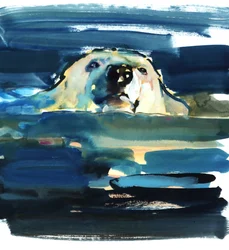 Nadada Ártica, 2016, (aguarela sobre papel)