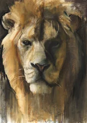 Leão Asiático, 2015, (pigmento, pastel e conté no papel)
