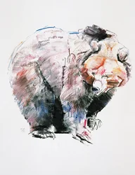 Urso (carvão e conte no papel)