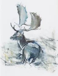 Buck in the Grass, 2006 (carvão vegetal e papel)