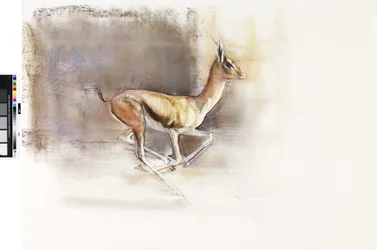 Vento do deserto (Gazelle Árabe), 2010 (óleo sobre papel)