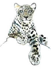 Direto (Leopardo Árabe), 2015, (aguarela e guache sobre papel)