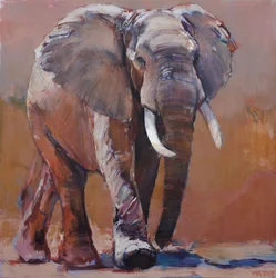 Época seca, Loisaba, 2018