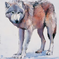 Edge, 2001