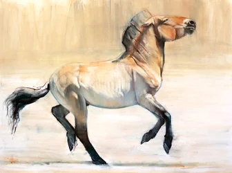 Equus (Przewalski), 2014, (pastel e carvão sobre papel)