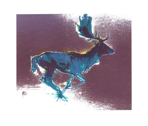 Gamo macho (sombra azul-amarela), 2015
