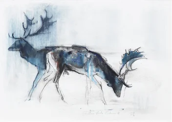 Fallow Bucks, Richmond, 2006 (carvão vegetal e papel)