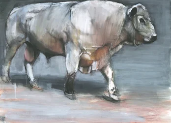 Fresno, Galloway Bull (mídia mista no papel)