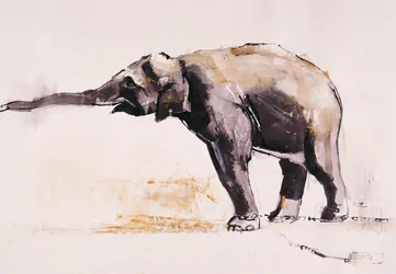 Elefante indiano, Khana (mídia mista no papel)