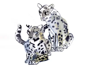 Mãe e Filho (Leopardos Árabes), 2008