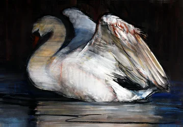 Cisne nocturno, 2022