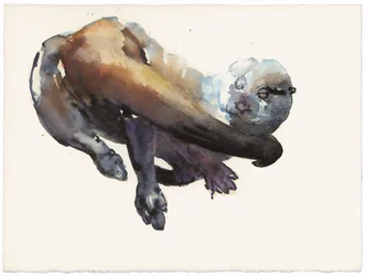 Otter Study I - &39;Talisker&39;