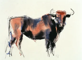 Red Bull, 1998 (grafite, conte e carvão no papel)