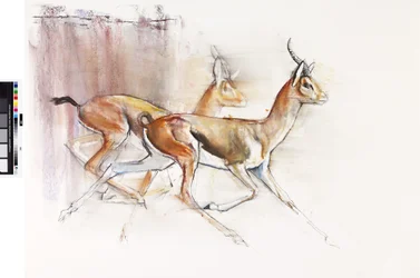Correndo Gazelles Árabes, 2010 (óleo sobre papel)