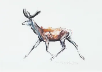Running Stag em veludo, Polsen, 2006 (carvão vegetal e papel)