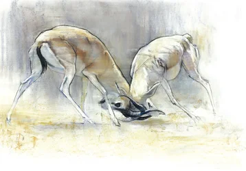 Sand Gazelles, 2009 (desprezo & carvão sobre papel)