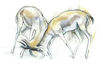 Sand Gazelles, 2009 (conte e carvão no papel)