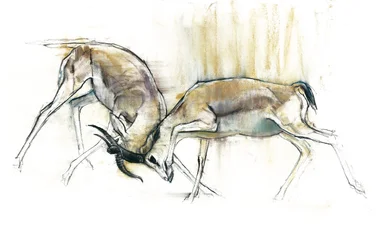 Sand Gazelles, 2009 (conte e carvão no papel)