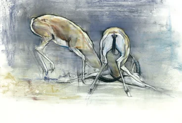 Sand Gazelles, 2009 (conte e carvão no papel)