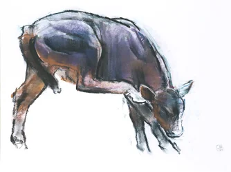 Riscar Bezerro, 2006 (carvão vegetal e papel)