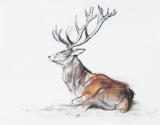 Veado sentado, 2006 (carvão vegetal e papel)