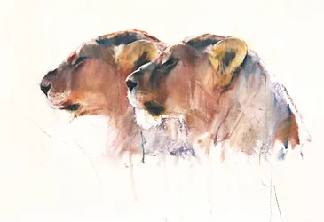 Irmãs, Etosha, 2017