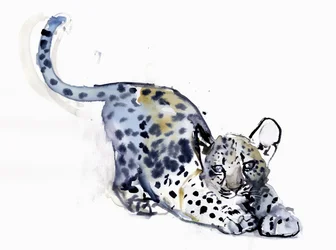 Esticando o filhote (leopardo árabe), 2008