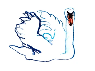 Cisne, 2021