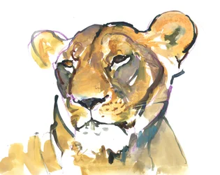A Lioness