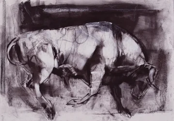 The White Bull (estudo), 1998 (carvão sobre papel)