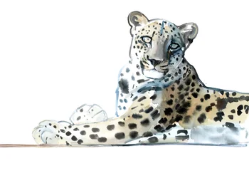 Tilt (Arabian Leopard), 2015, (aquarela e guache sobre papel)