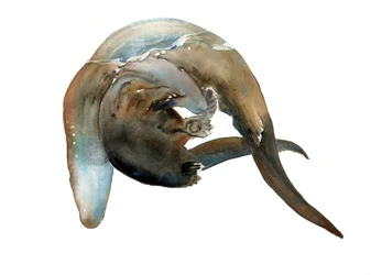 Título desconhecido