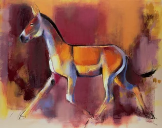 Selvagem, Rann de Kutch, 1996