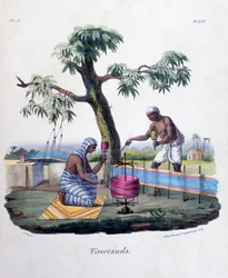 Tecelões, 1828