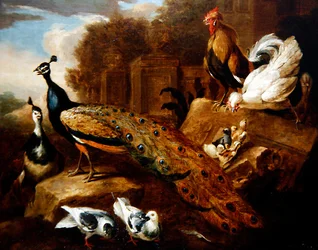 Pavões, pombas e outras aves e um edifício clássico