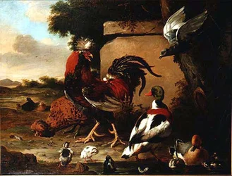 Galo com patos, patinhos e pombo