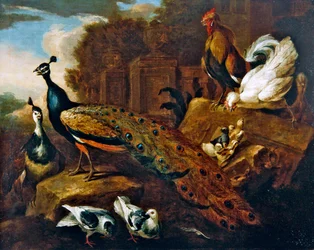 Pavões, pombas e outras aves e um edifício clássico