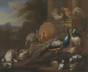 Pavões, pombas, perus, galinhas e patos junto de uma ruína clássica