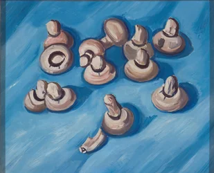 Cogumelos sobre um fundo azul