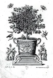 Árvore ornamental em uma urna em um pequeno palco