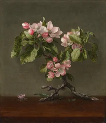 Flores de maçã, 1873.