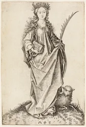 Santa Inês